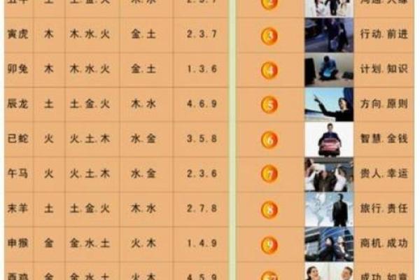 木命与土命最相宜，探索五行之中最佳搭配