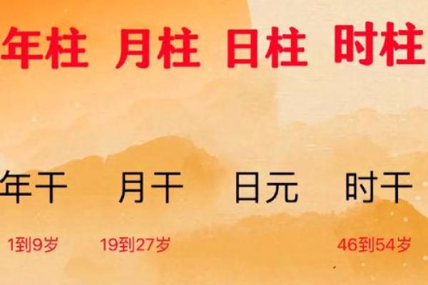 揭秘葵已年的五行属命，探索其神秘内涵与人生运势！