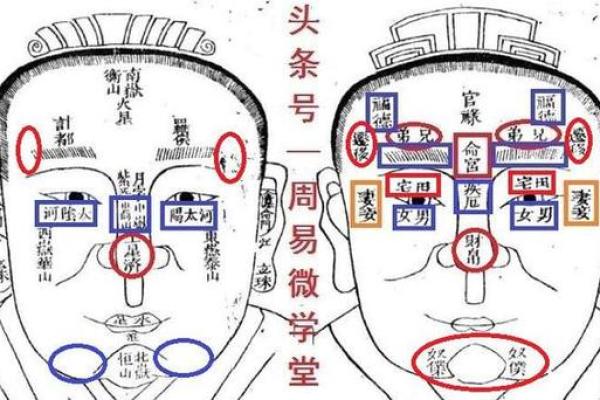 柳木命男与何命最佳配对，探讨命理缘分的奥秘