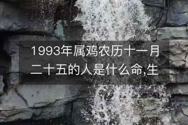 农历十一月的命与性格解析：探索这月份的独特命运与人生之旅