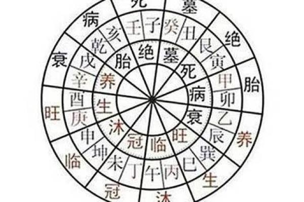 命局中财星对女性的深刻影响与解析