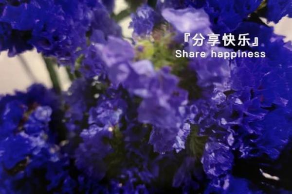 弄丢视你如命的人，心中留存永恒的记忆与遗憾
