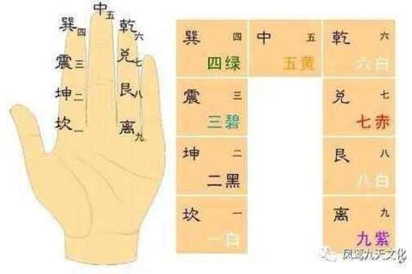 命里带文昌：揭示智慧与学识的秘密之源