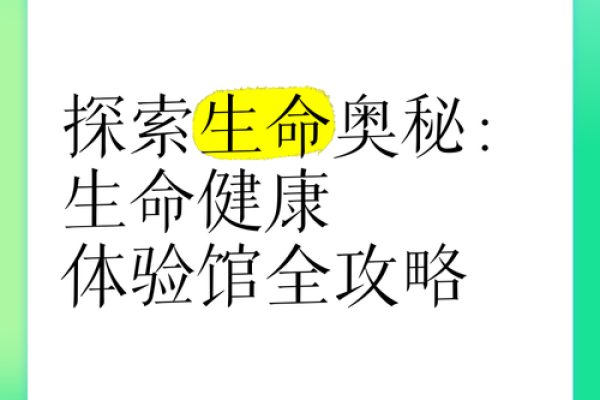 探索命与魂的深刻关系：生命的奥秘与灵魂的旅程