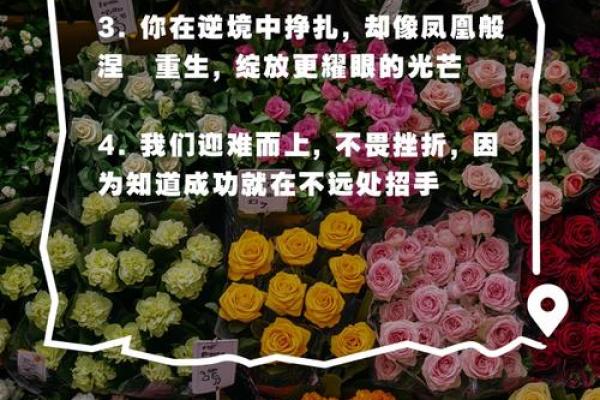 枯木逢春：如何在逆境中重生与成长