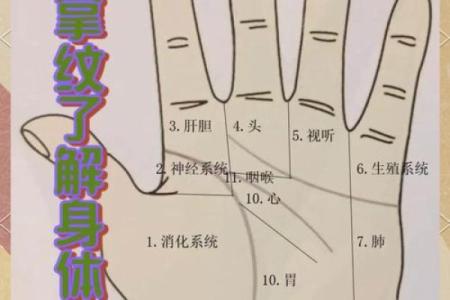解密男人手掌厚度，深藏命运与性格的秘密