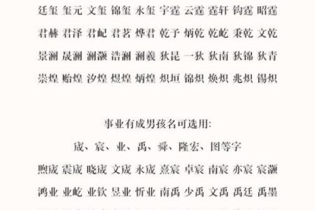 鼠年男生火命最佳取名指南:提升命格的妙招与秘诀