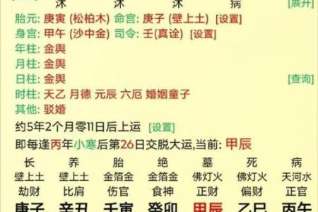 探秘女命伤官格用神，开启人生的新篇章！