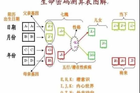 农历四月出生的人：命运与性格解读之旅