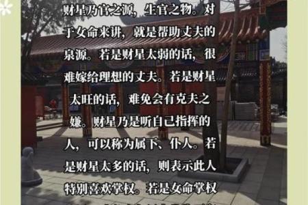 探究命理：排命的奥秘与生活智慧
