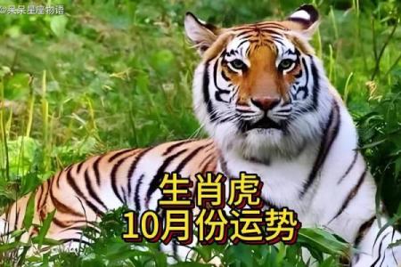 属虎的人在农历三月的命格分析与运势探讨