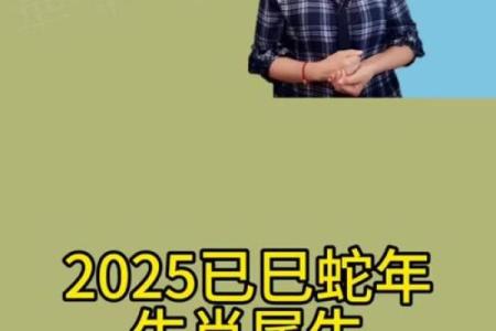 农历七月属牛的五行命理探秘：属于你的命运之钥