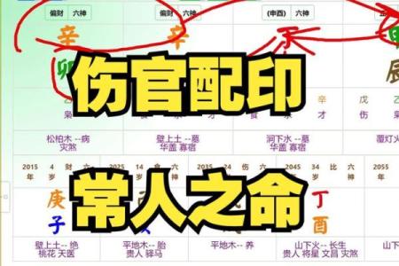 命局中的伤官：深入解读其象征与影响