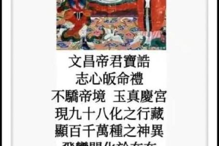 命里带文昌：揭示智慧与学识的秘密之源