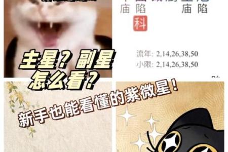 探秘明星命盘：命理与成功的深层关系