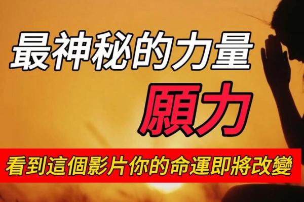 命理七星：解密命运的神秘力量与深层意义