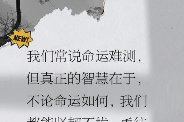 老子的智慧：从“要了你的猪命”看生活的真谛与哲理
