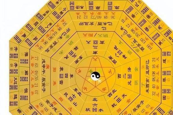 离卦启示：探索子女命运的奥秘与幸福之道