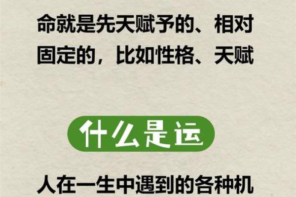 探秘五行之道：揭示命运背后的奥秘与智慧