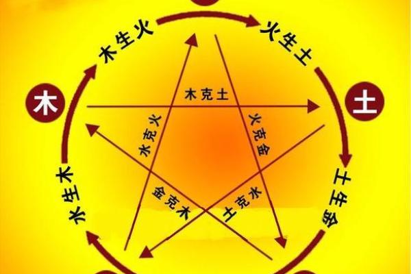 探秘六楼金木水火土的命运之道，揭示属相的玄妙关系！