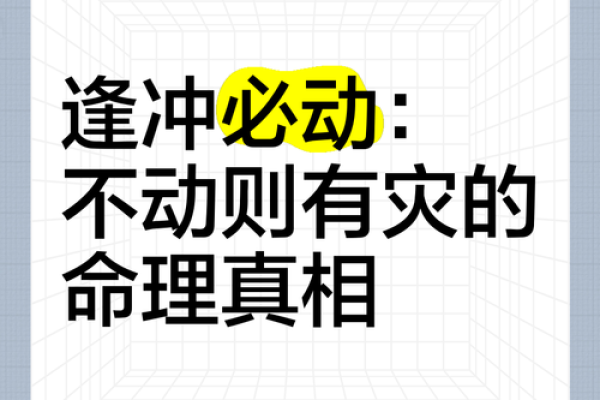 命理学中的“生处怕冲”：深度解析与启示