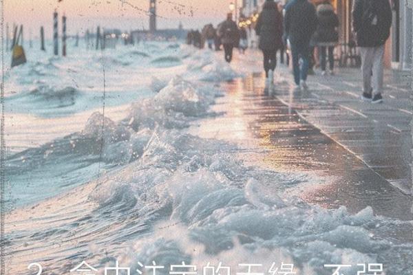 临命终时的光影人生：如何面对生命的最后一刻