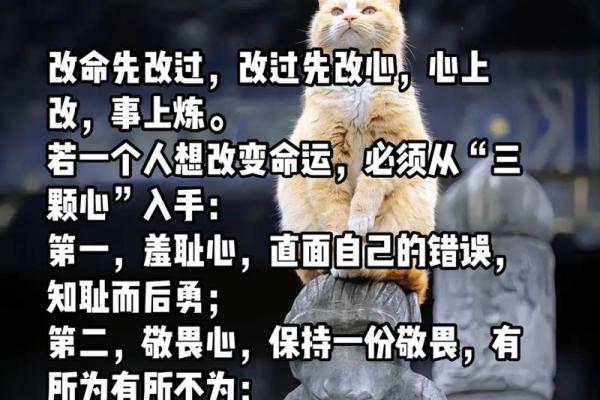 探索民间改命最灵的方法，改变命运的智慧之道