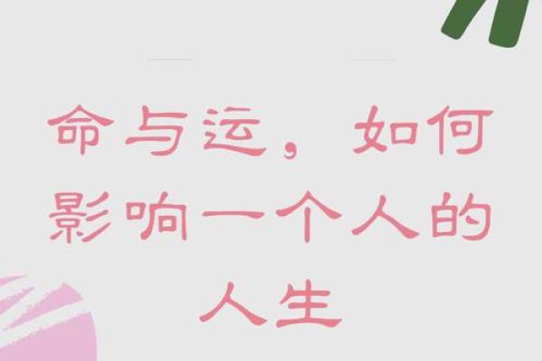 命与运：反思人生的选择与机遇之美