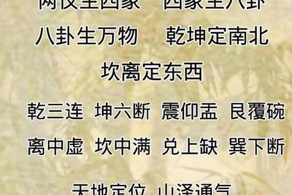 命里有太极：象征平衡与和谐的智慧之道