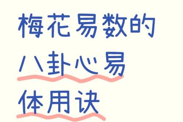 探索梅花命的奥秘：解析这个独特命理的魅力与应用
