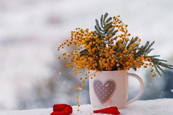 九六年生女命运解析：她们的性格与未来之路
