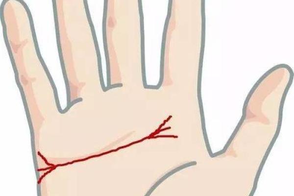 揭开蝴蝶命女人的神秘面纱：手相中的幸运之兆