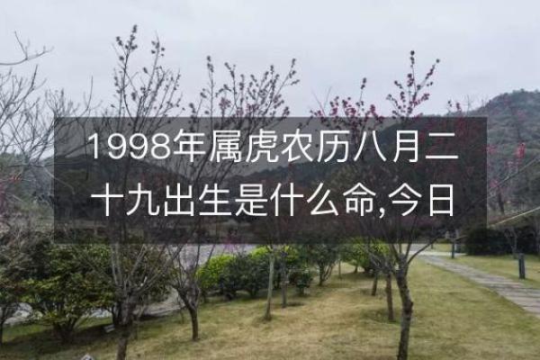 揭密农历八月十诞生的命运与性格特征