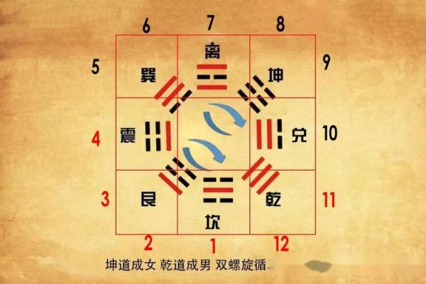探秘命理：解读命带有克制人的深层含义与影响