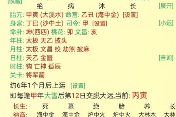 农历十月出生的人，命理分析与性格特征探讨
