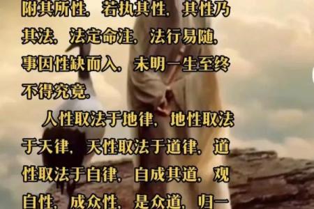 探寻“乃命以位”的深层含义与人生启示