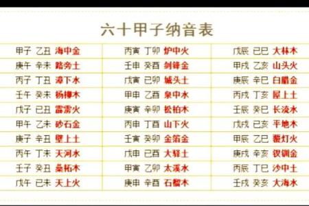 揭秘丽的名字背后的五行命理与人生轨迹