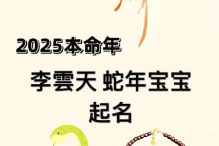 探讨女子童子命:如何选择合适的护身符与吉祥物?