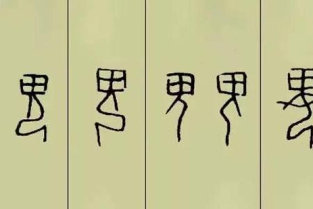 探索命格中的双鬼字旁:解密内心深处的灵性与命运