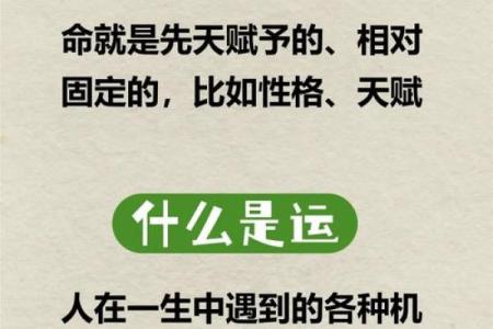 探秘五行之道：揭示命运背后的奥秘与智慧