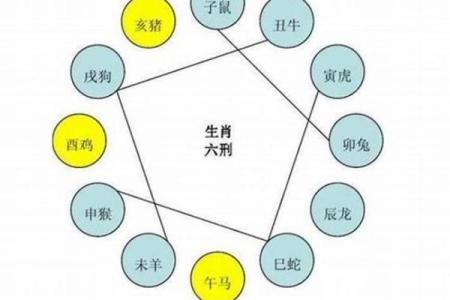 探秘2002年出生的生肖与命理：看他们的未来运势与性格特征