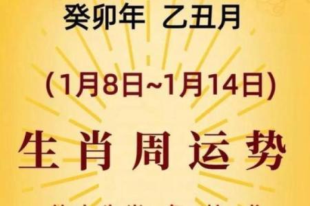 六八年属猴的命格解析，探寻他们的命运与人生