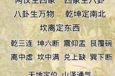 命里有太极:象征平衡与和谐的智慧之道