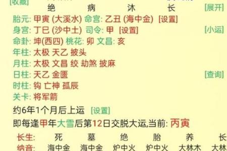 农历十月出生的人，命理分析与性格特征探讨