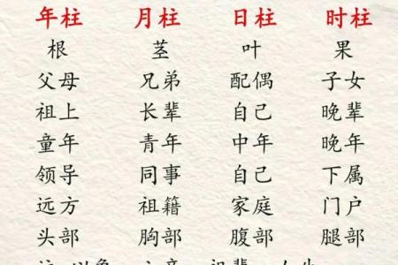 探索农历五月初九的命理奥秘与人生智慧