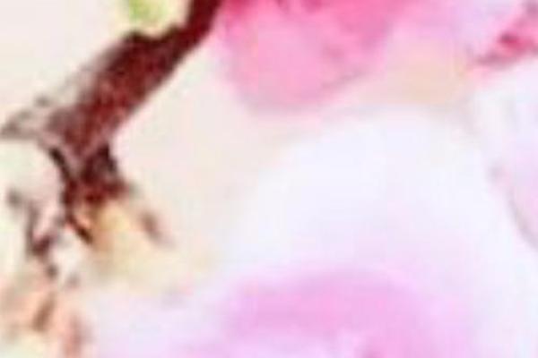 女命食神格：神秘命理与适配命之探秘