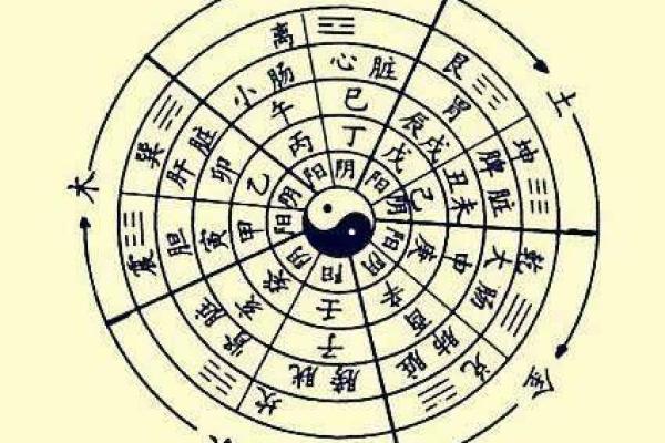 九月二十八出生的属蛇人：在命理中，他们的命运与性格分析