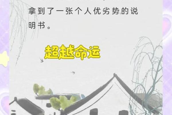 解读女命坐比：探寻命理中的深层寓意与人生智慧