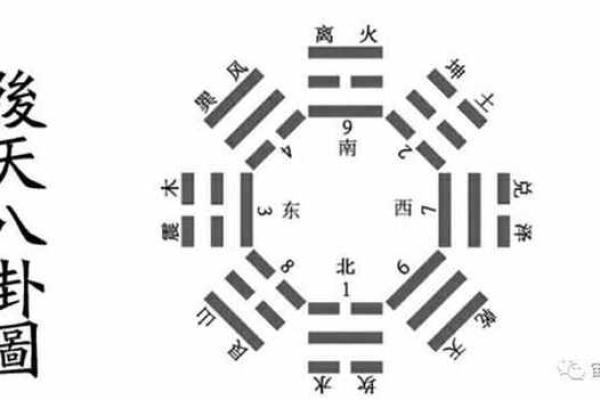 探秘坤命东四命：揭开命理中的奥秘与启示