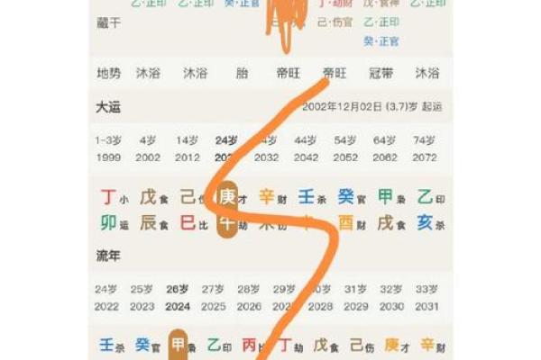 女命伤官带官印的深刻解读与人生启示